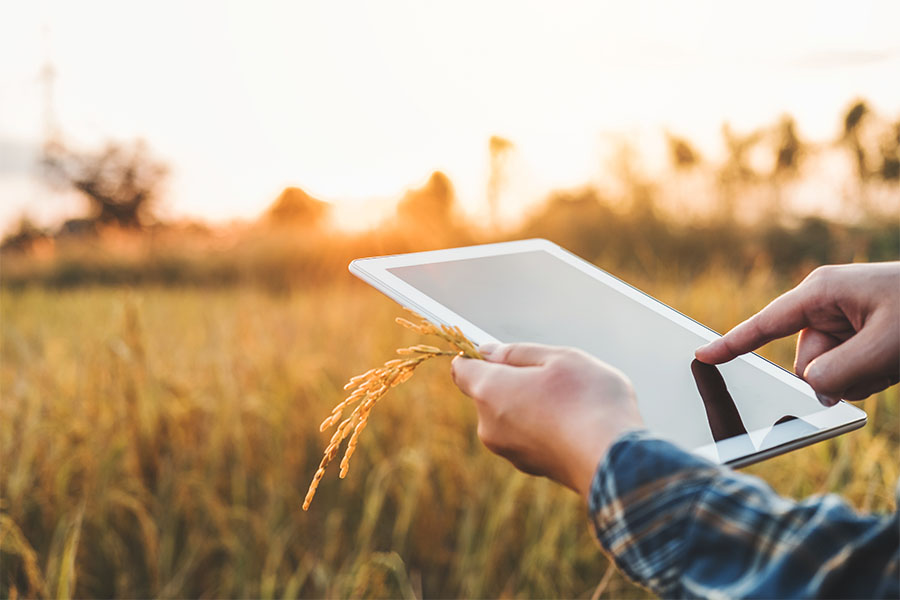 Client Center - Farmer Standing in His Field of Wheat Holding a Tablet