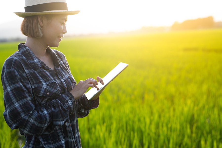 How Can We Help You - Farmer Woman Looking At IPad While Standing in a Green Farm Field