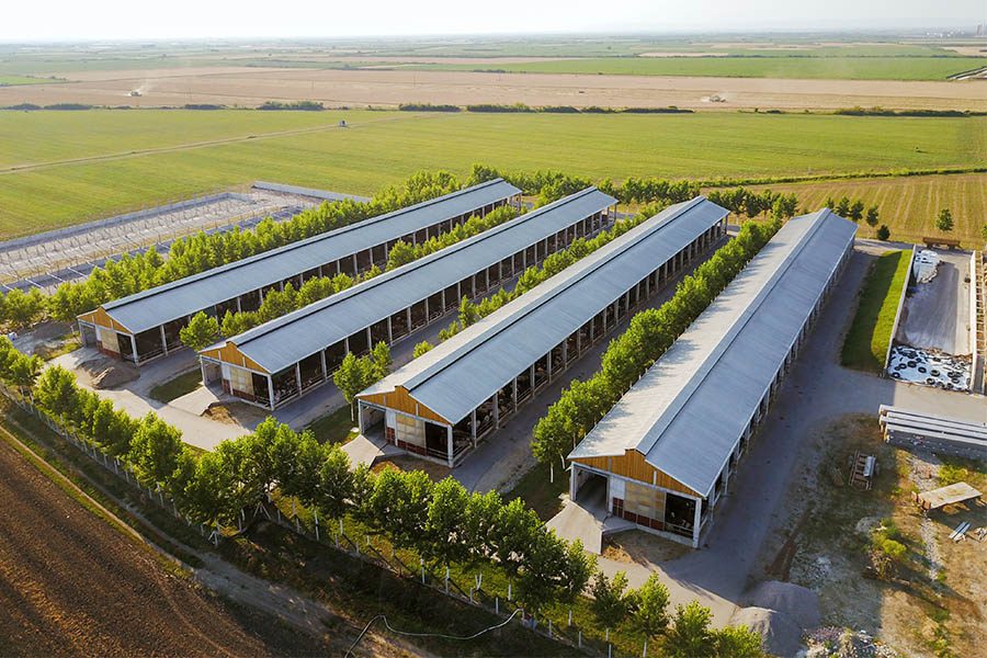 Large Agricultural Farms - Top View of a Large Agricultural Farm with Multiple Long Buildings and Fields as Far as the Eye Can See on a Nice Day